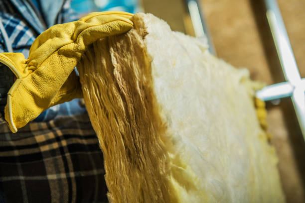 Best Cellulose Insulation  in High Rolls, NM