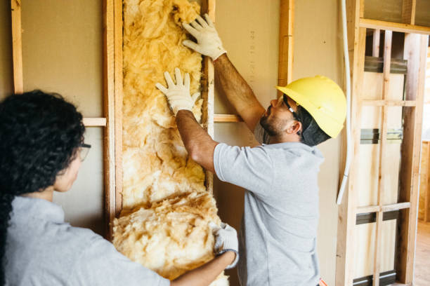 Trusted High Rolls, NM Insulation Contractor Experts