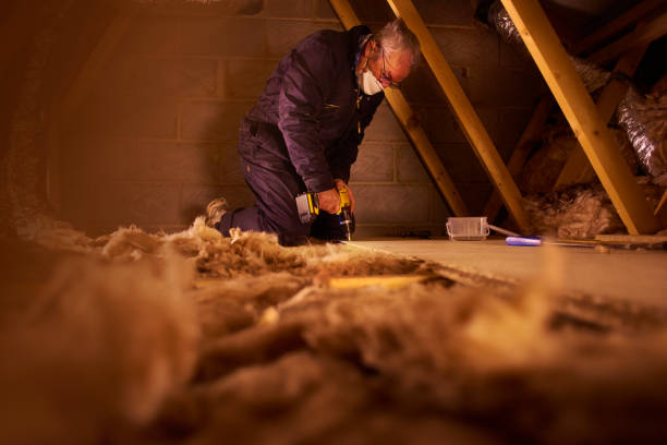 Insulation Replacement Services in High Rolls, NM